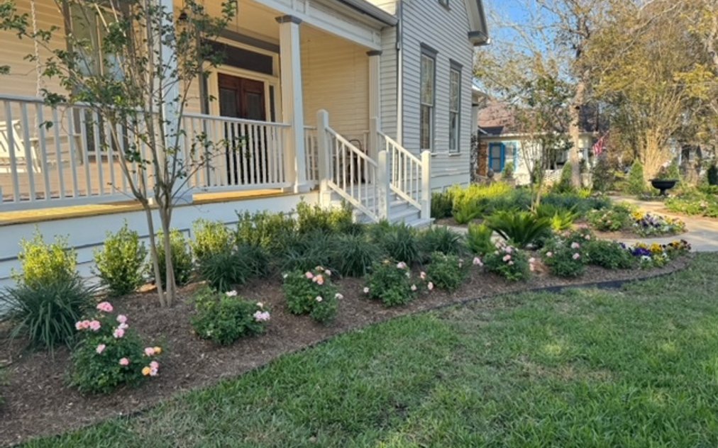 Layered flower beds and a healthy lawn in a Central Texas garden