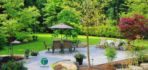 How a Professional Landscape Design Process Works From Concept to Build