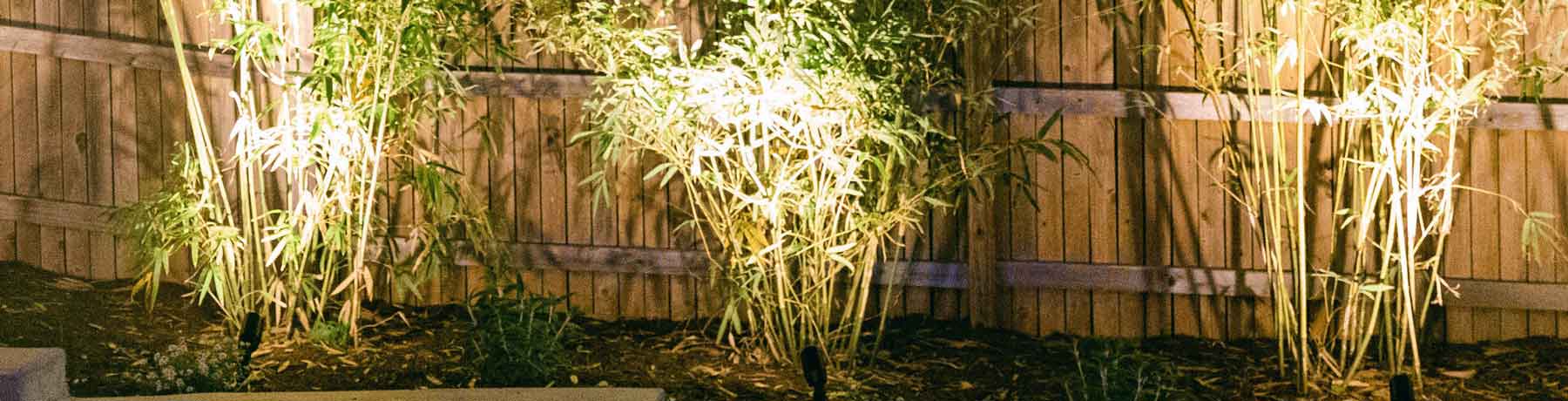 Outdoor Lighting | Thrive Landscape & Design